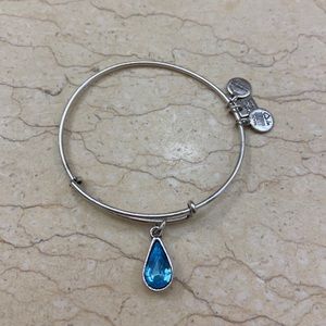 Alex and Ani Living Water Charm Bangle